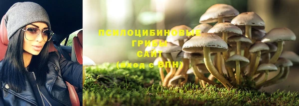 PSILOCYBIN Волоколамск